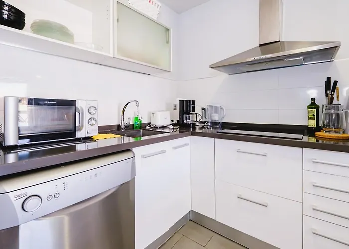 公寓 Alegria Id74 托雷维耶哈